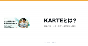 KARTEとは?意味・仕組み・代表サービス・転職市場での評価をやさしく整理